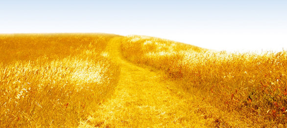 summer-banner